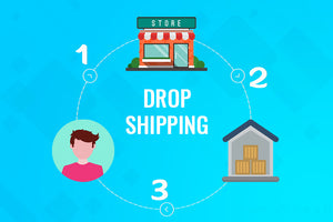 The Importance of Logistics in Dropshipping|Datasunday